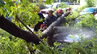 Drzewo spadło na dwa ople