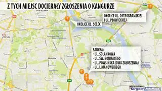 Zgłoszenia dotyczące kangura