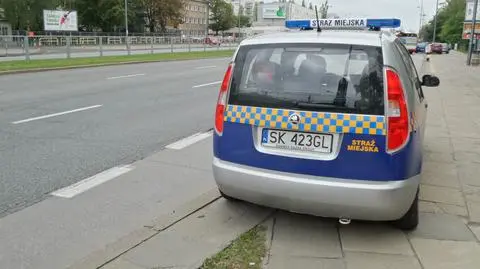 Warszawska straż miejska na katowickich "blachach"