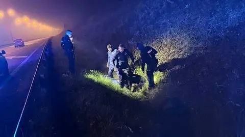 Uciekał, porzucił auto i ukrył się na drzewie