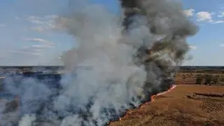 Pożar traw w Starych Lipinach