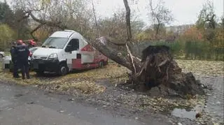 Drzewo przewróciło się na samochód