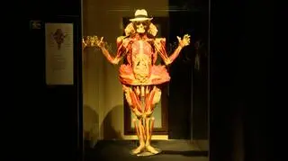 Wystawa "Body Worlds"