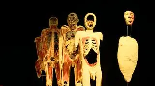 Wystawa "Body Worlds"