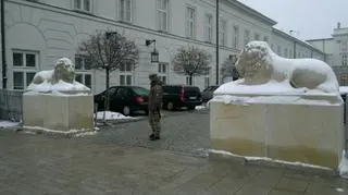 Odrestaurowane lwy pojawiły się przed Pałacem Prezydenckim