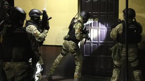 Upodobali sobie auta marek koreańskich i japońskich. 150 zarzutów, 14 zatrzymanych 