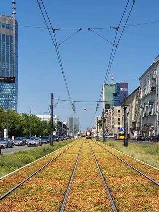 Tramwajarze zazielenią torowiska w centrum (wizualizacja)