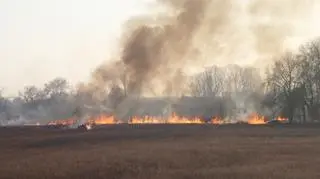 Pożar traw nad Wisłą