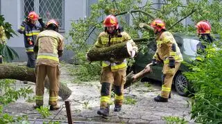 Drzewo spadło na auta na Mokotowie