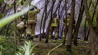 Pożar, do którego wyjeżdżali strażacy 