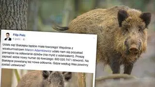 Białołęka nie chce dzików 