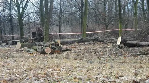Nowoczesna: możliwy lobbing przy "Lex Szyszko". CBA: będziemy analizować