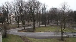 Widok z pałacu na park