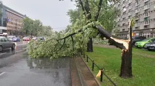 Drzewo upadło na jezdnię alei Jana Pawła II