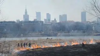 Pożar traw nad Wisłą