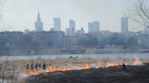 Trzech wagarowiczów zatrzymanych po pożarze przy Świętokrzyskim 