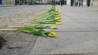 Tulipany przed Pałacem Prezydenckim