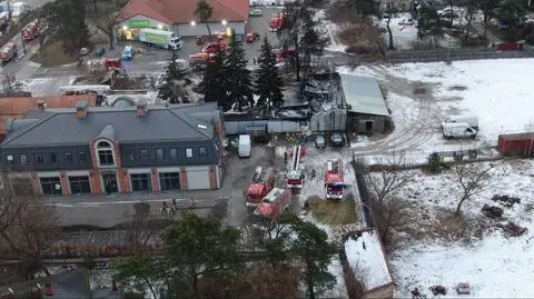 Pożar w Falenicy. W akcji gaśniczej brało udział 80 strażaków