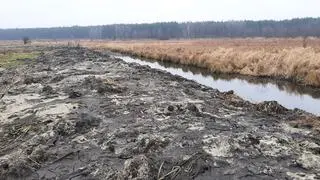 Prace toczyły się na terenie rezerwatu Wieliszewskie Łęgi