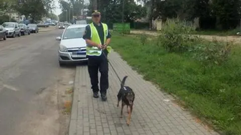 Pies wyrwał się podczas spaceru, odnaleźli go strażnicy