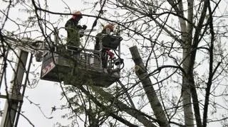 Akcja strażaków na Nowiniarskiej