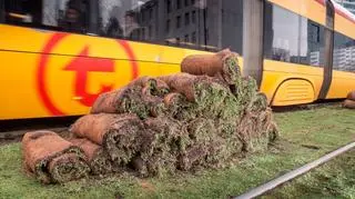 Tramwajarze posadzili rozchodnik na kolejnym, ponad kilometrowym odcinku torów w centrum Warszawy