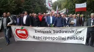 Protest sadowników