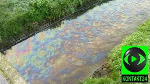 Śmierdząca substancja w Potoku Służewieckim