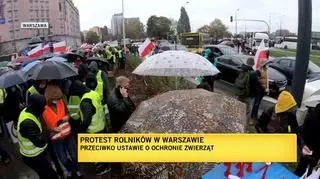 Rolnicy protestują w Warszawie 