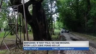 Teren zabezpiecza straż miejska