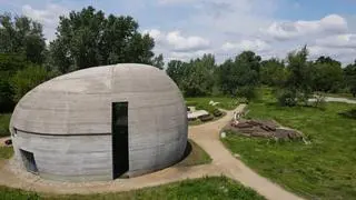 Na dzikich terenach Golędzinowa miasto planuje utworzyć park naturalny