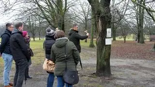 Miejskie jednostki będą mieć obowiązek informowania o planowanej wycince