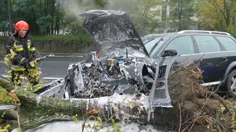 Audi uderzyło w drzewo. "Zapaliła się komora silnika"