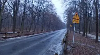 Autobusu przez Lasek Bielański nie będzie, przynajmniej na razie