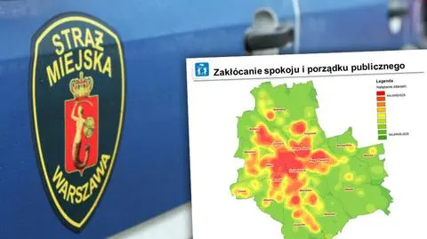 1447 interwencji każdej doby. Co robili strażnicy miejscy w 2016 roku?