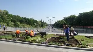 Sadzenie warzyw w ogrodzie na placu Na Rozdrożu