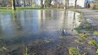 Podtopienia w parku Sady Żoliborskie