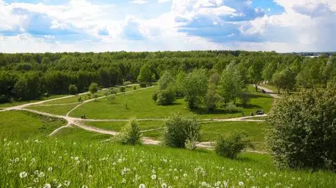 Zmiany w parku przy Górce Kazurce. Będą place zabaw, ścieżka rowerową i "małpi gaj"