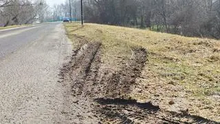 Koleiny na trawnikach przy Bulwarze Flotylli Pińskiej