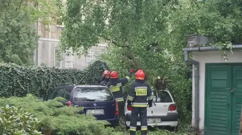 Złamane drzewo uszkodziło dwa samochody