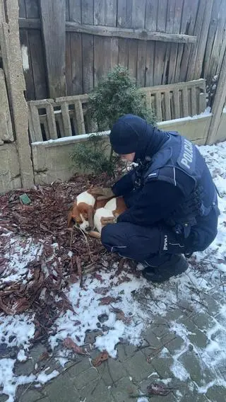 Policjanci zaopiekowali się wyziębniętym pieskiem