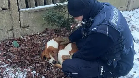 Policjanci zaopiekowali się wyziębniętym pieskiem