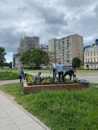 Aktywiści rozkopali miejski kwietnik