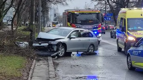 Kierowca auta wjechał w słup