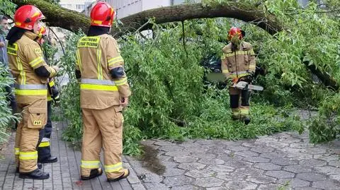 Konar drzewa spadł na zaparkowane auta