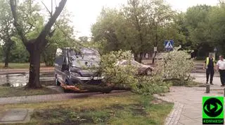 Na Żoliborzu gałęzie uszkodziły samochód