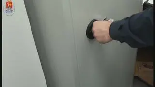 Likwidacja plantacji konopi