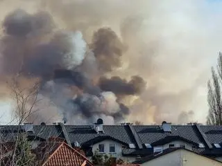 Pożar traw przy Wale Miedzeszyńskim