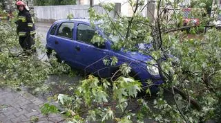 Auto uszkodzone przez konar