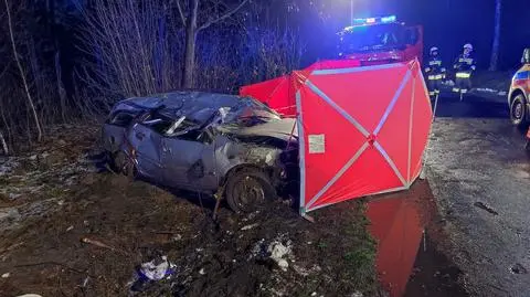 Auto rozbite na drzewie. Pasażer zginął, 17-letni kierowca ranny